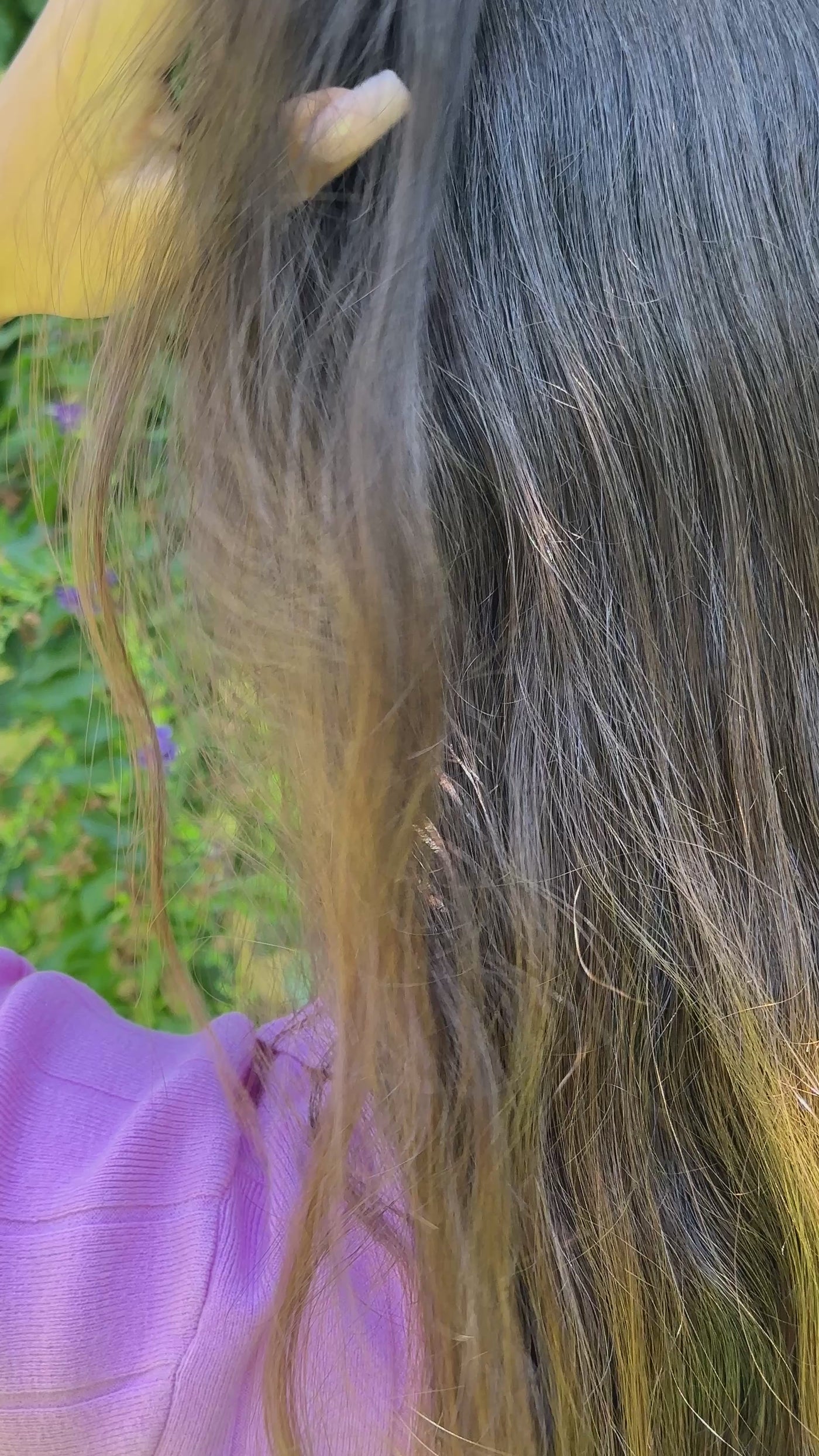 woman wearing an alexandrite engagement ring with a diamond halo in rose gold