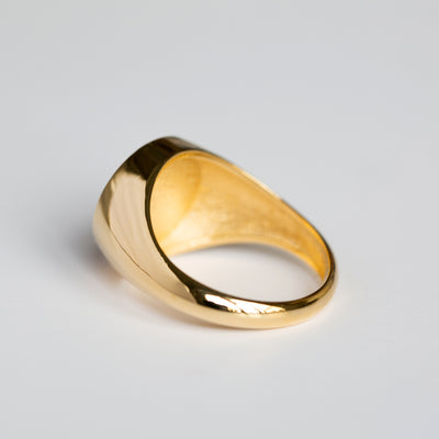 Leo | Onyx Gold Signet Ring